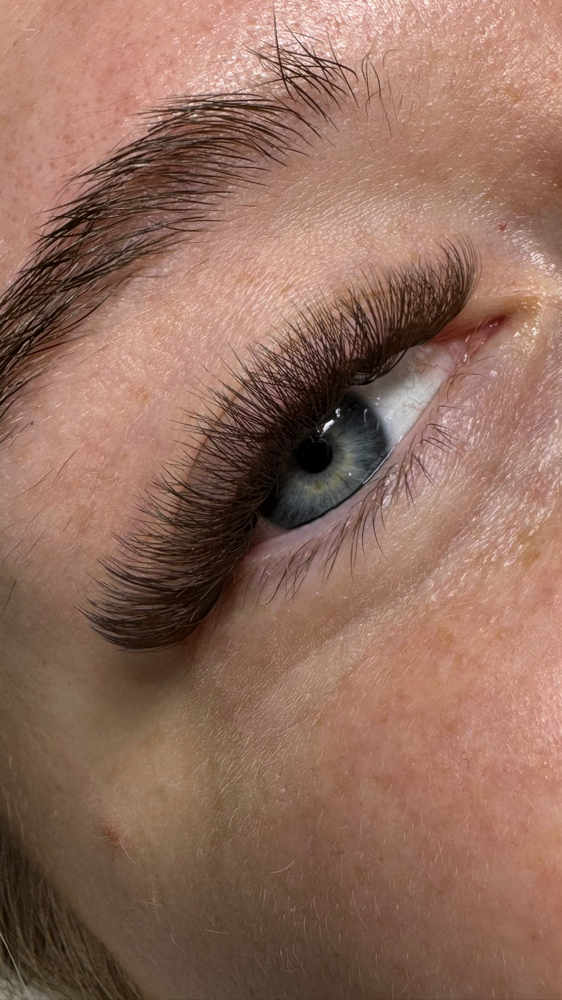 Brown Volume Set