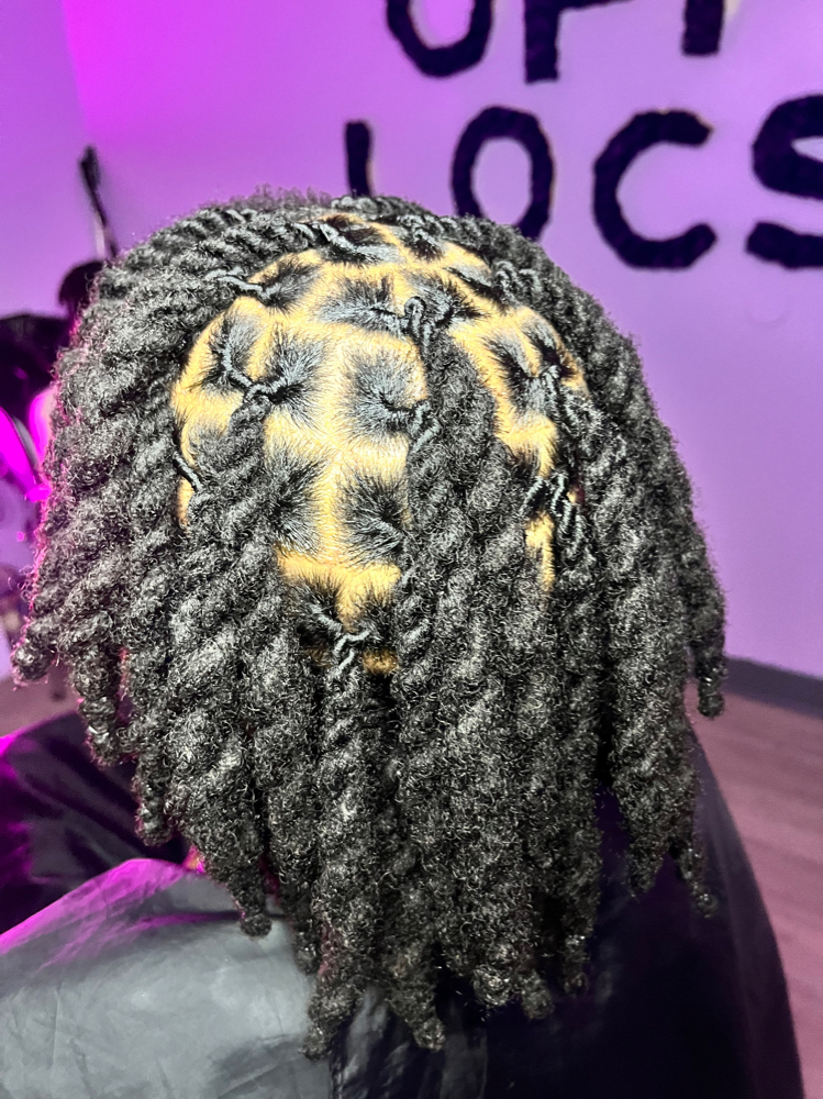 2strands/plaits (short)