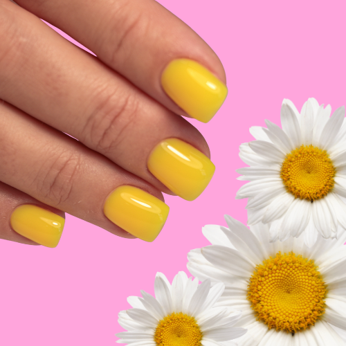 Short Gel X Full Set