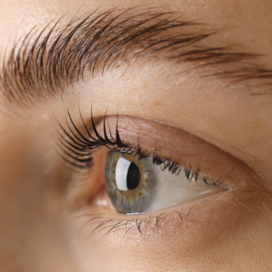 Lash Lamination and Tint at Glassskin Esthetics in Calabasas, CA