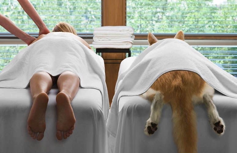 Mobile Massage 2 Hr