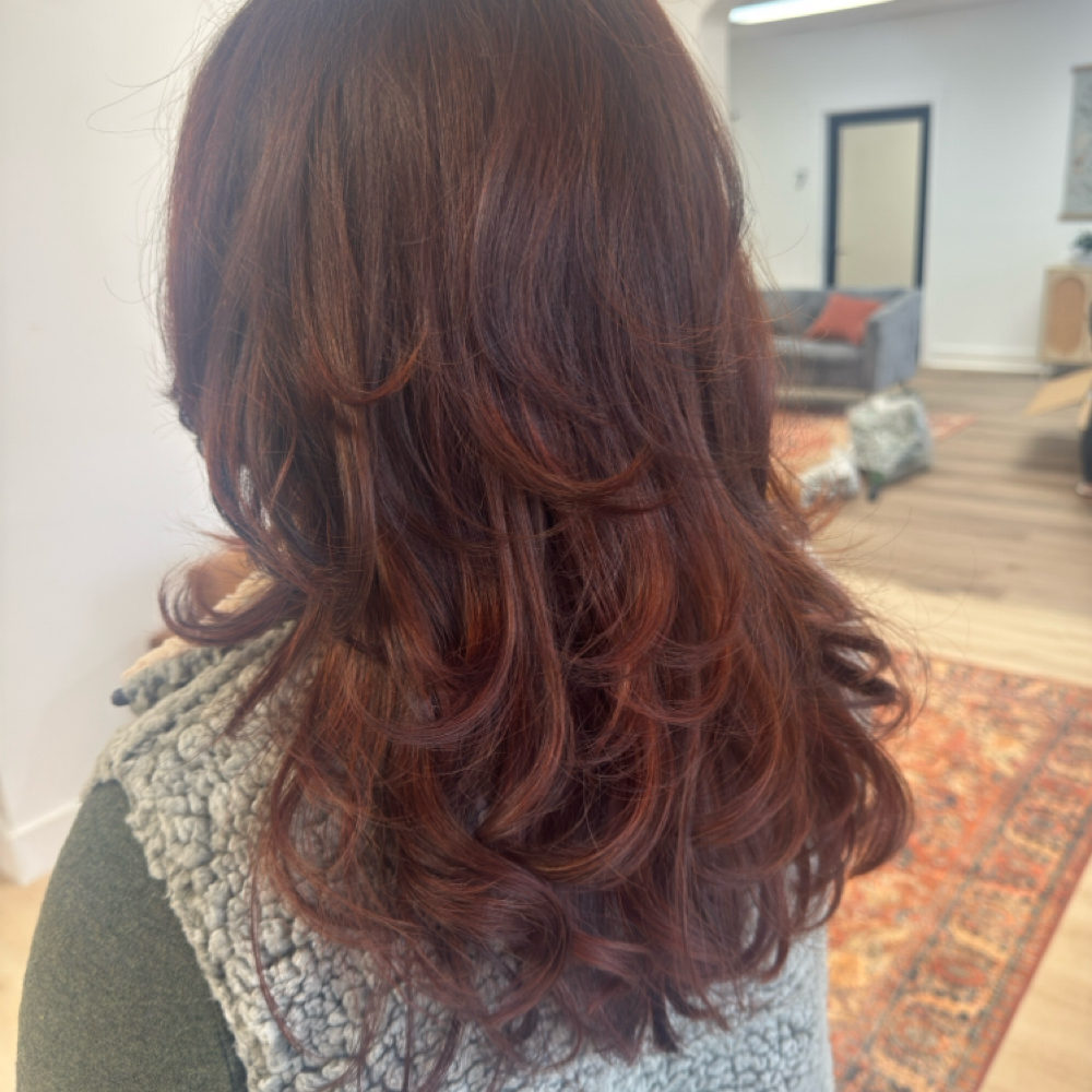 All Over Color / Root Refresh