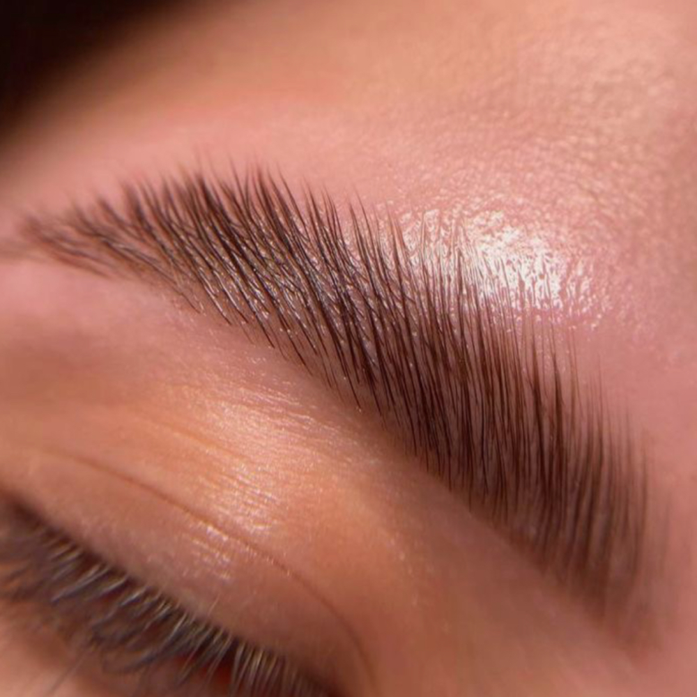 Brow Lamination + Tint at ap lashes in Charlotte, NC