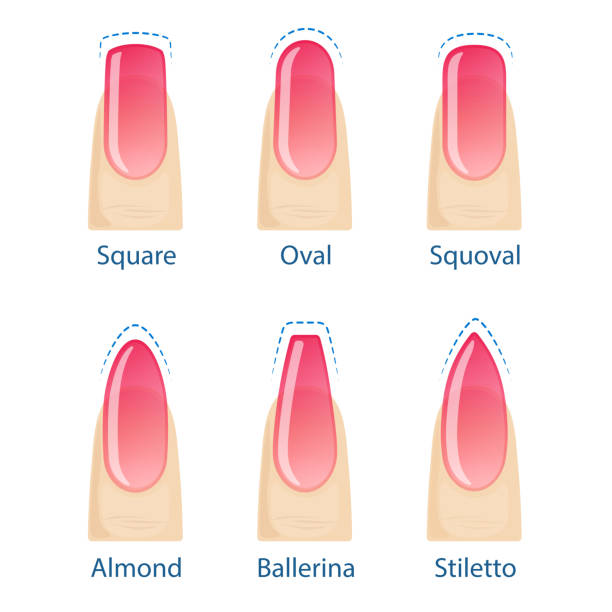 FULL SET OF NAIL TIPS