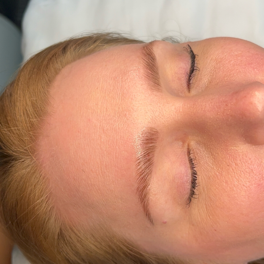 Brow Lami+ Tint+Wax at Rooted in Nashville, AR