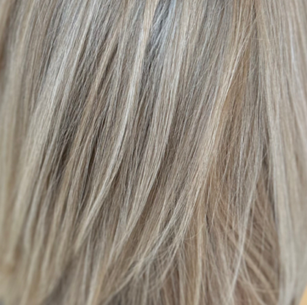 Classic Wet Haircut (straight Hair) at Grace Sarasota Hair in Sarasota, FL