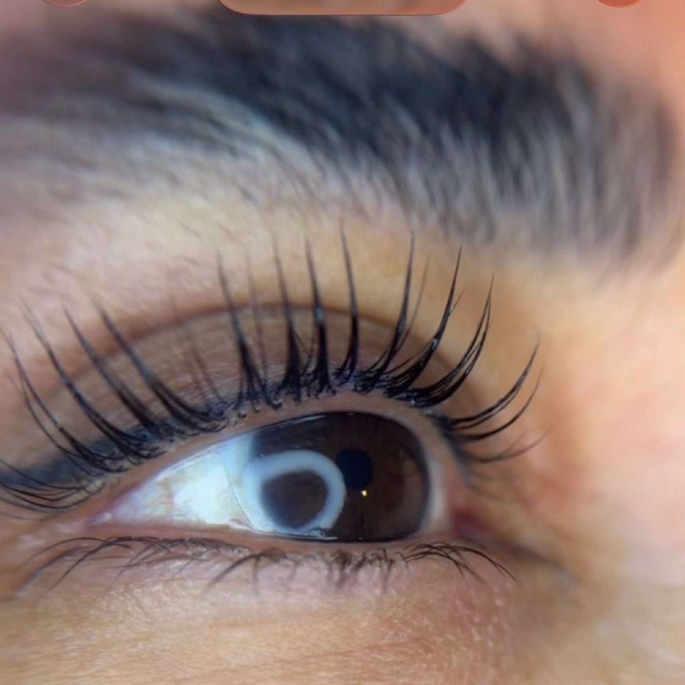 Korean Lash Lift at Vida Beauty Artistry in Fort Worth, TX