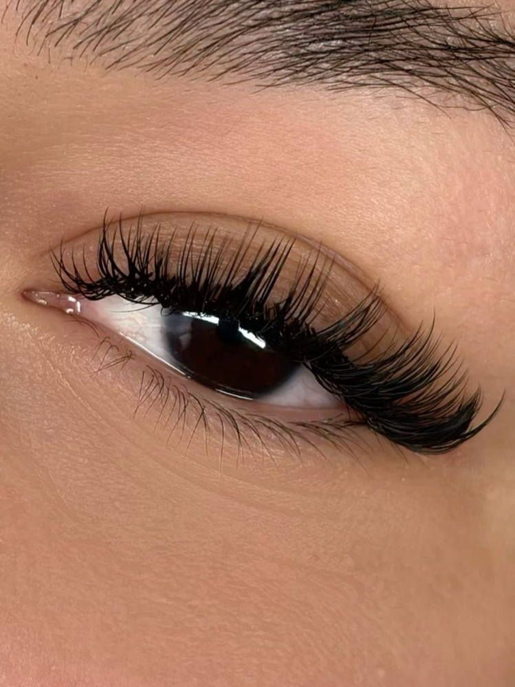 Hybrid Lashes