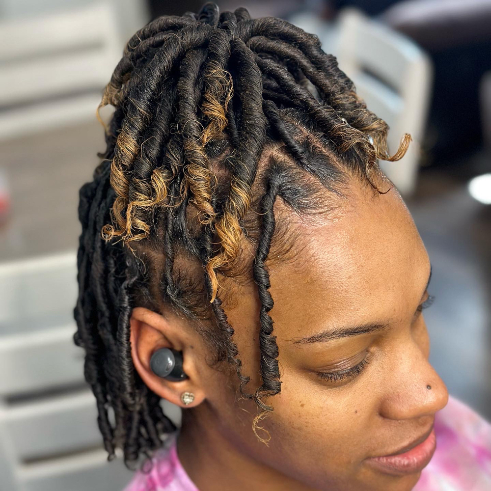 Starter Locs