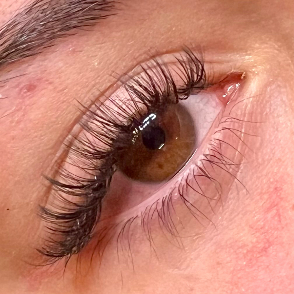 Hybrid Full Set at XO Lashes in Glendale, CO