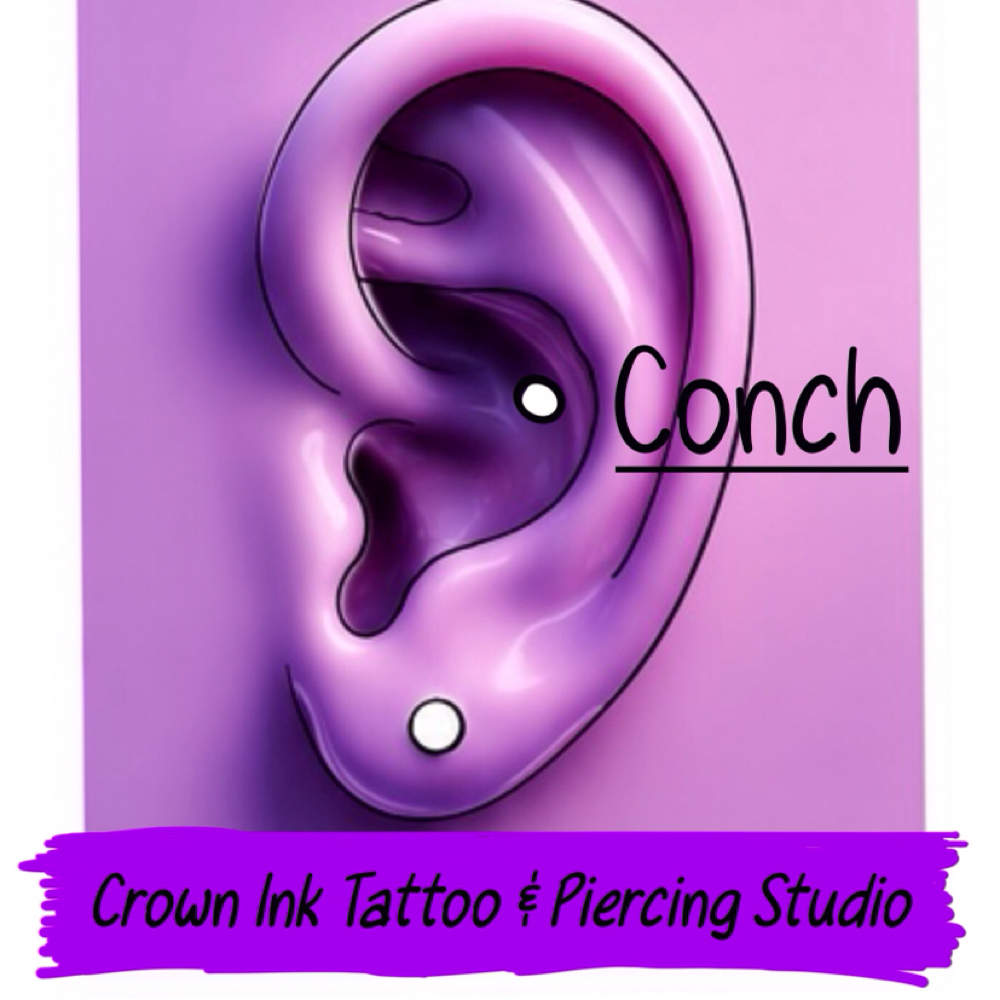 Conch at The crown ink studio in Corpus Christi, TX