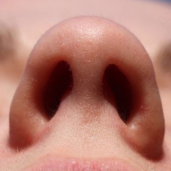 Nose Wax