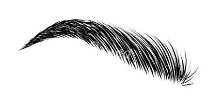 Eyebrow