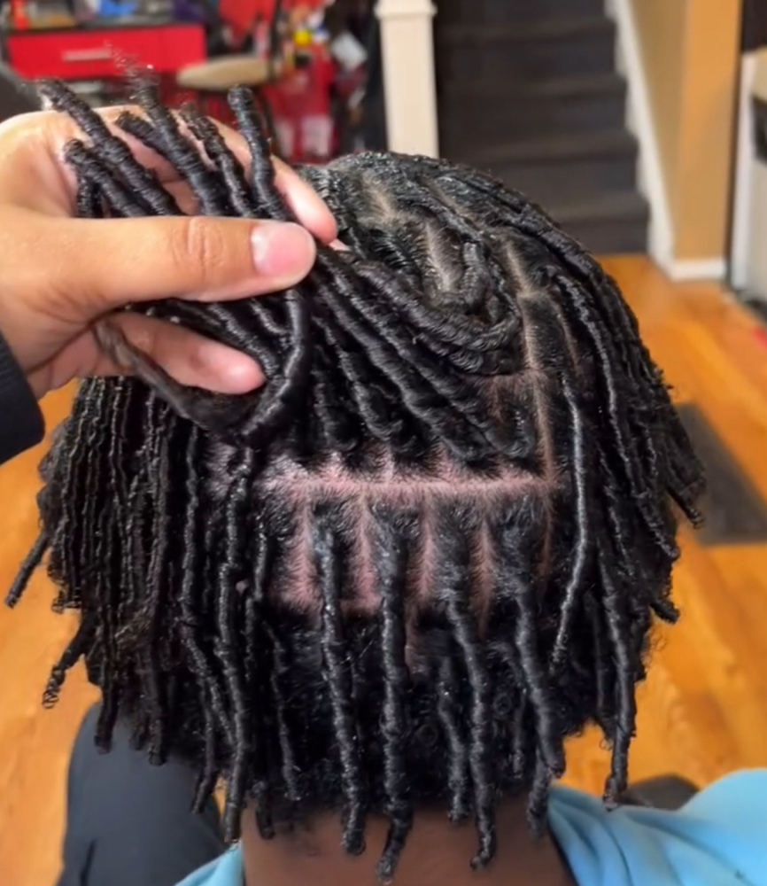 Starter Locs