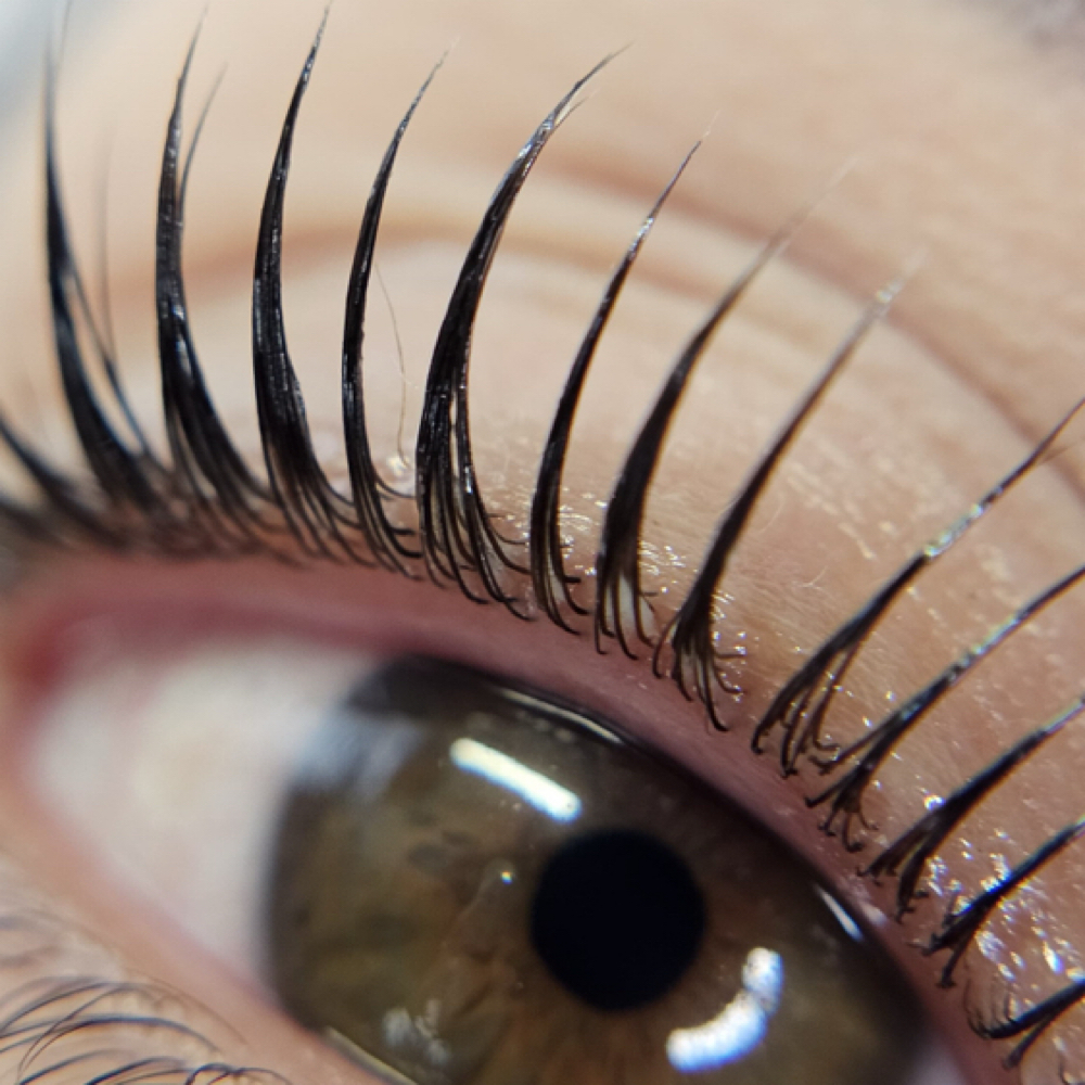 LASH LIFTING PRO at ROSTRO PERFECTO in Hialeah, FL