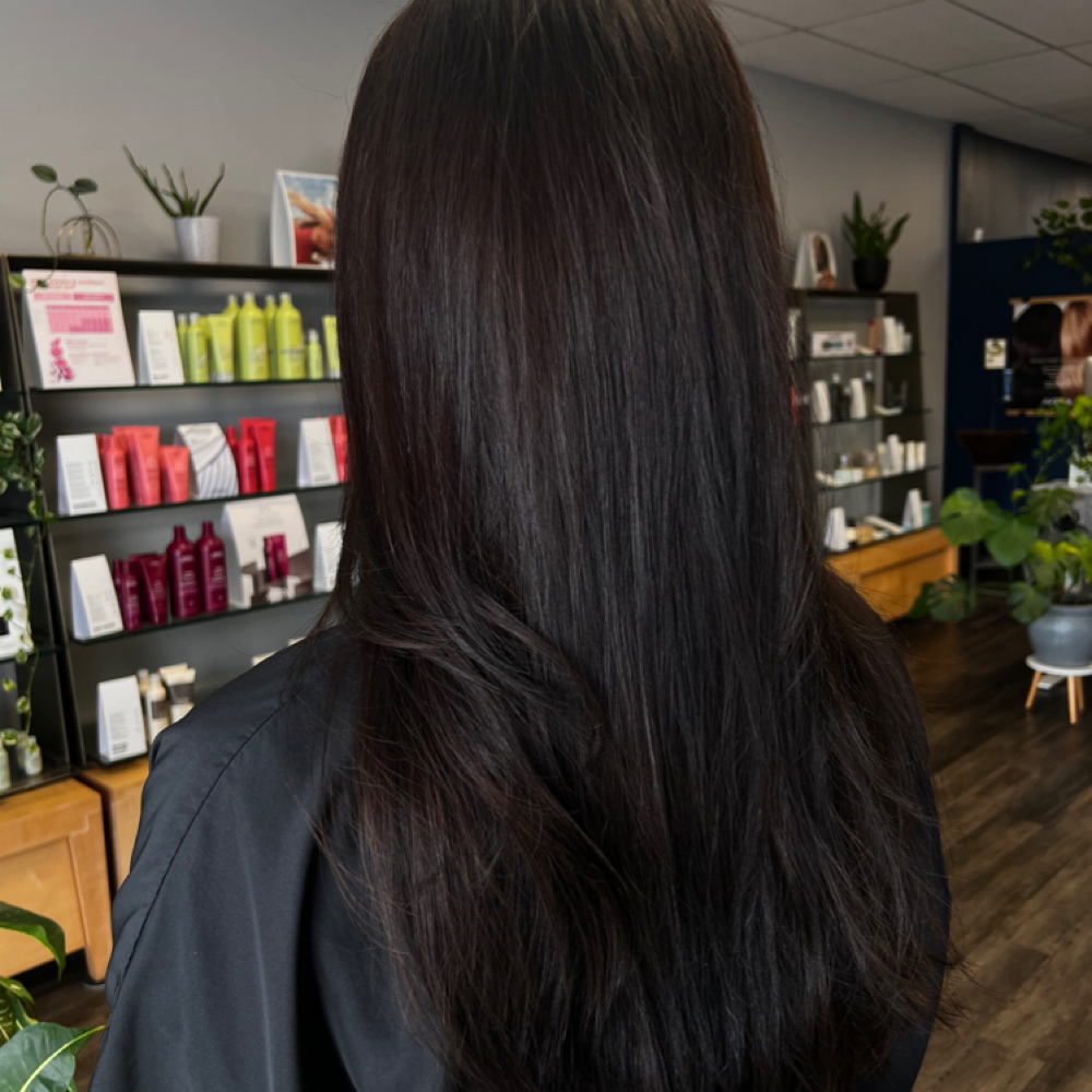 All Over Color at Strawberry Sage Salon in San Antonio, TX