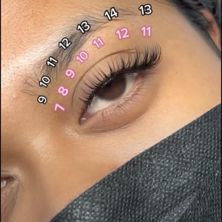 2-weeks Classic Lash Refill at Elegant Luxe Beauty in Wesley Chapel, FL