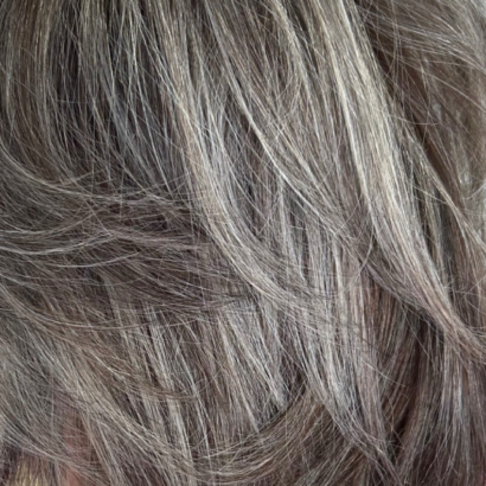 Gray Blending Transformation at Grace Sarasota Hair in Sarasota, FL