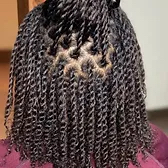 Two Strand Twist (Small)