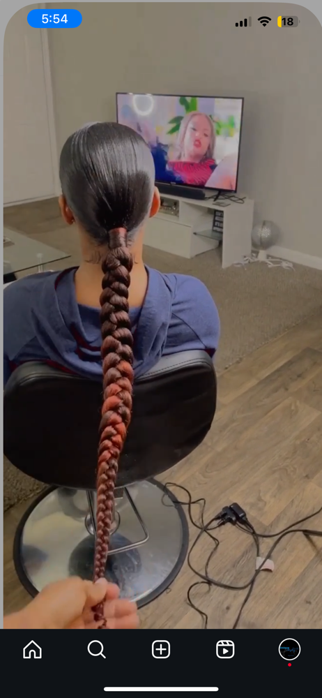 Sleek Braid