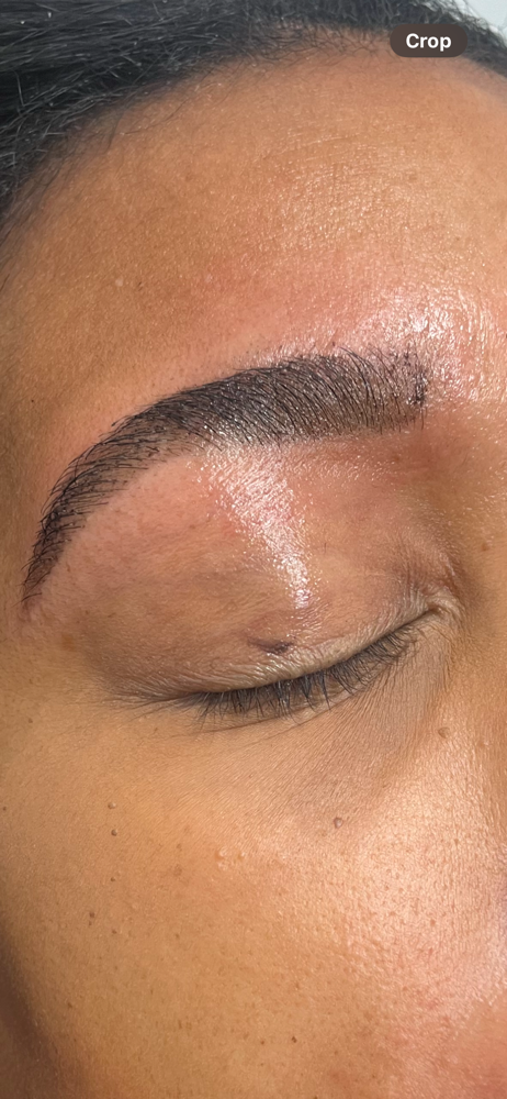 Lechelle’s Brow Wax & Tint at Lechelle Beauty & Bodycare in OH, OH