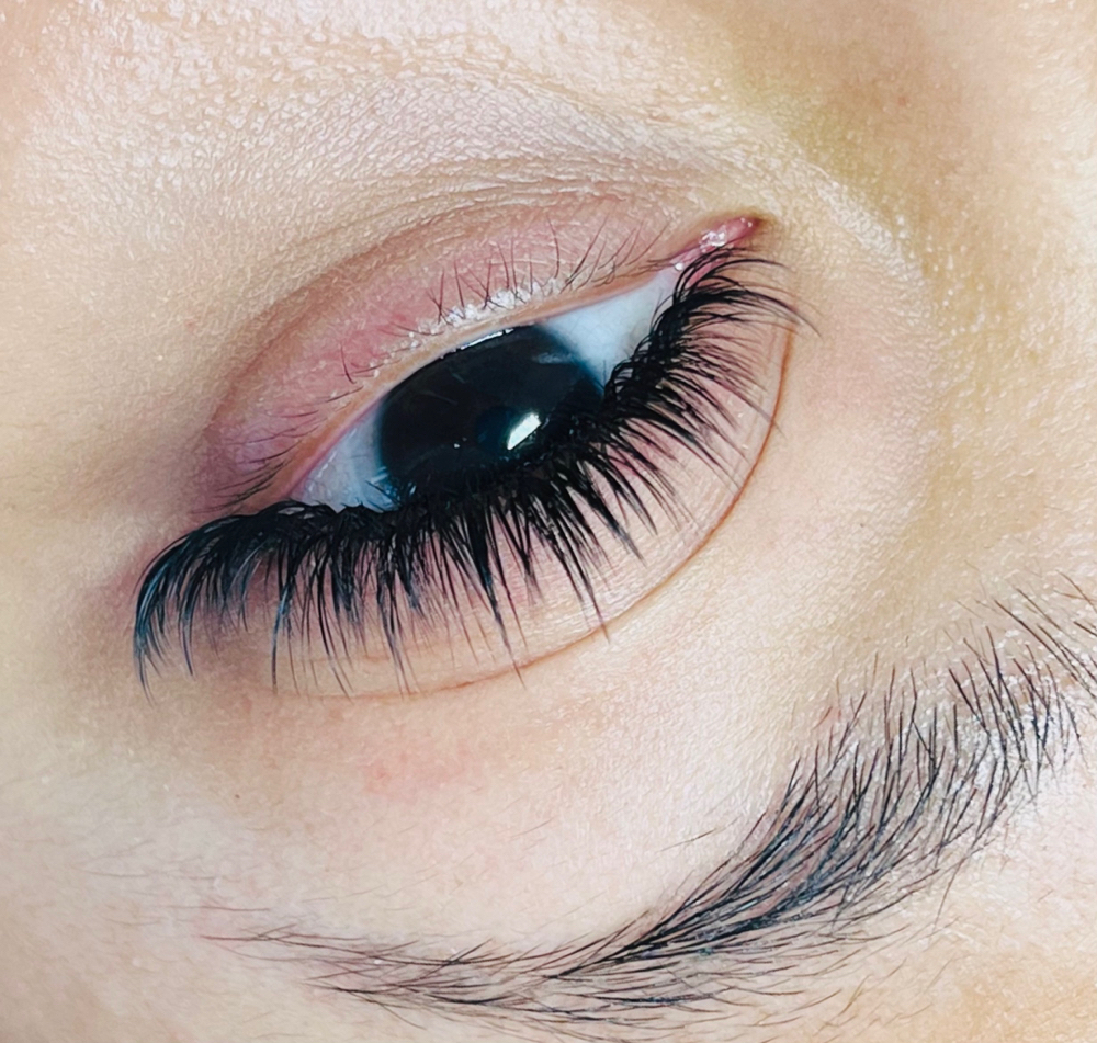 Wispy 3 Week (21-23day)