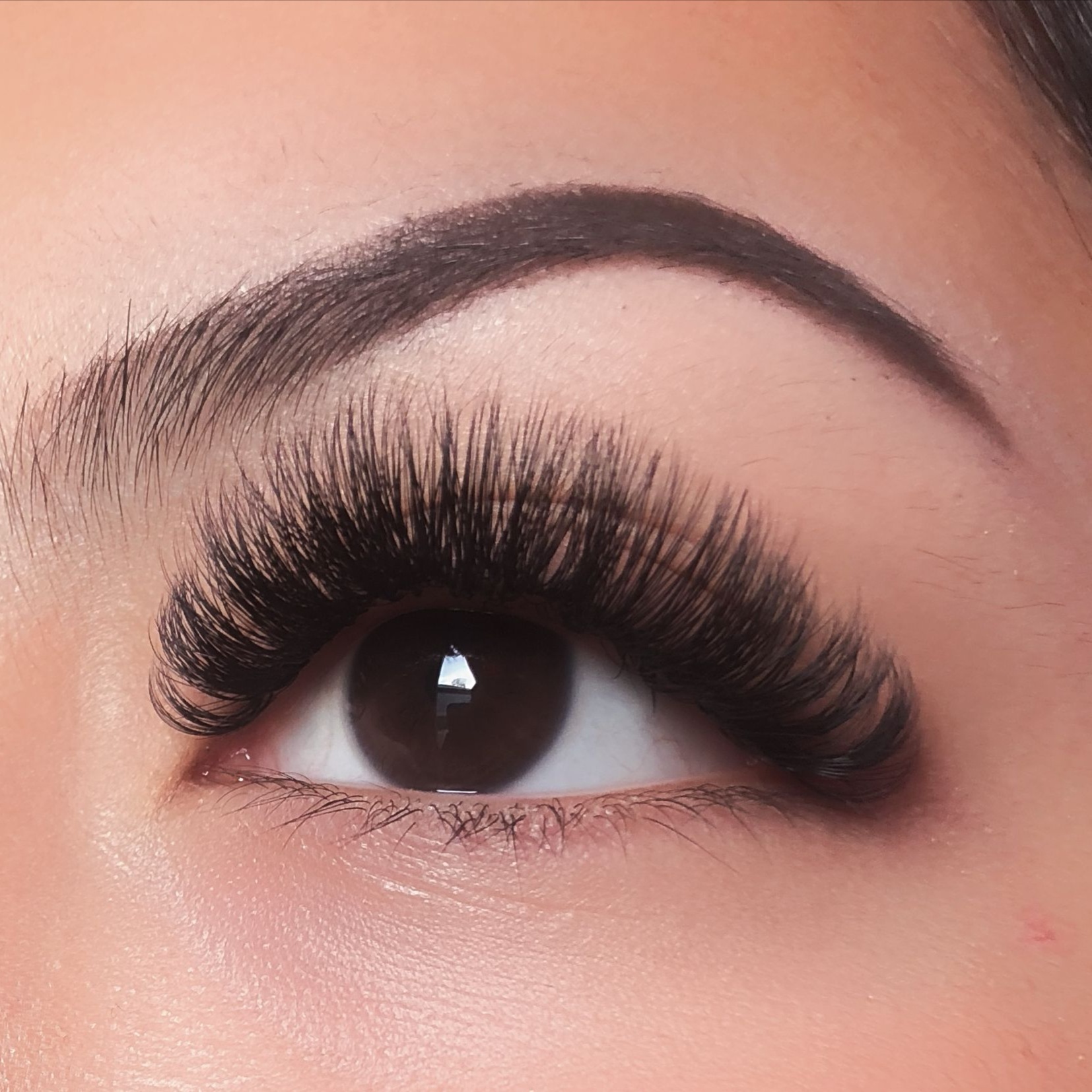 Volume Full Set at Green Top Lash Co. in Middleton, ID
