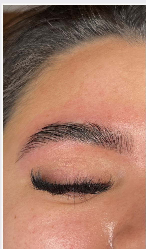 Brow Wax + Tint