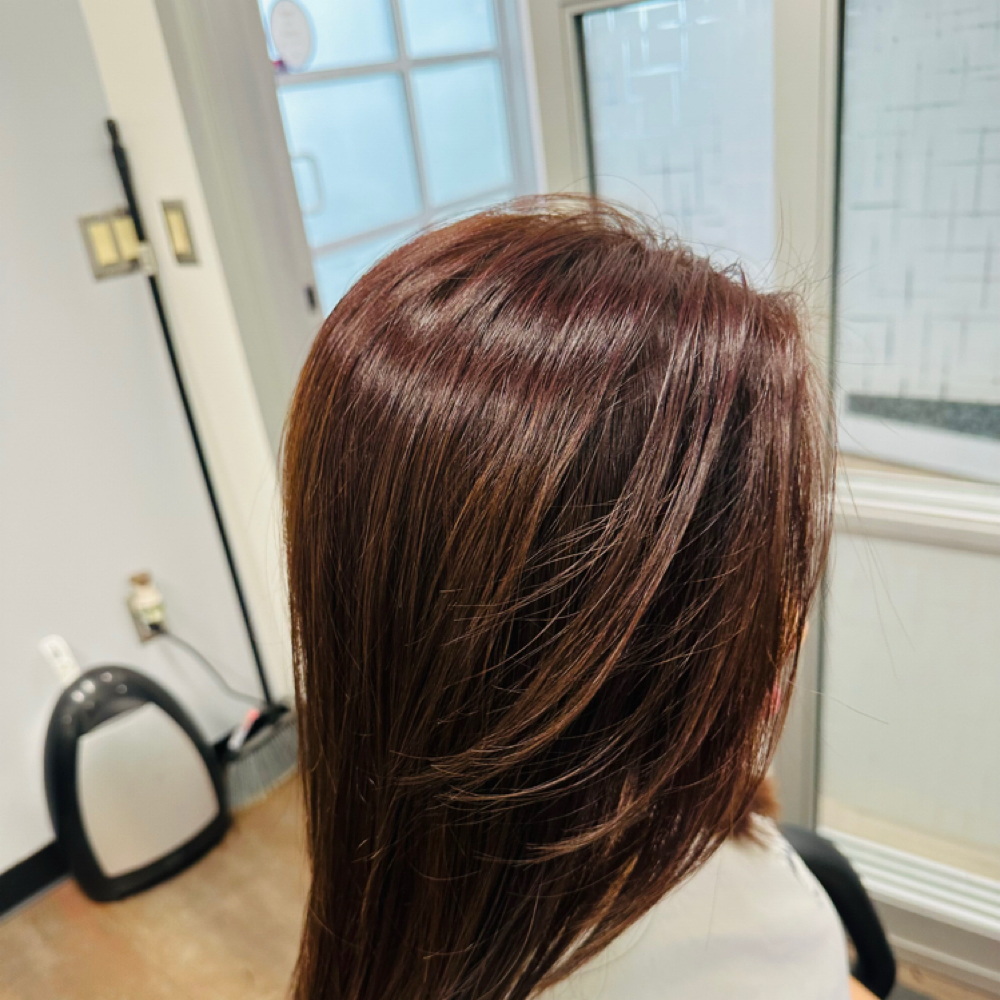 Package Root Touch_up With Toner at Class&Sass Hair Studio in Springfield, VA