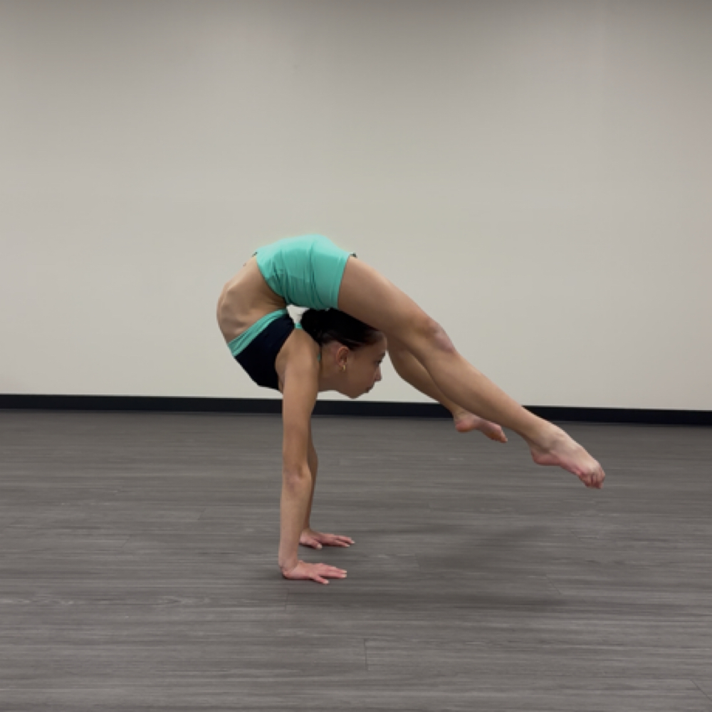 Private Lesson 1.5 Hour at The Dance Tutor 2 in Staten Island, NY