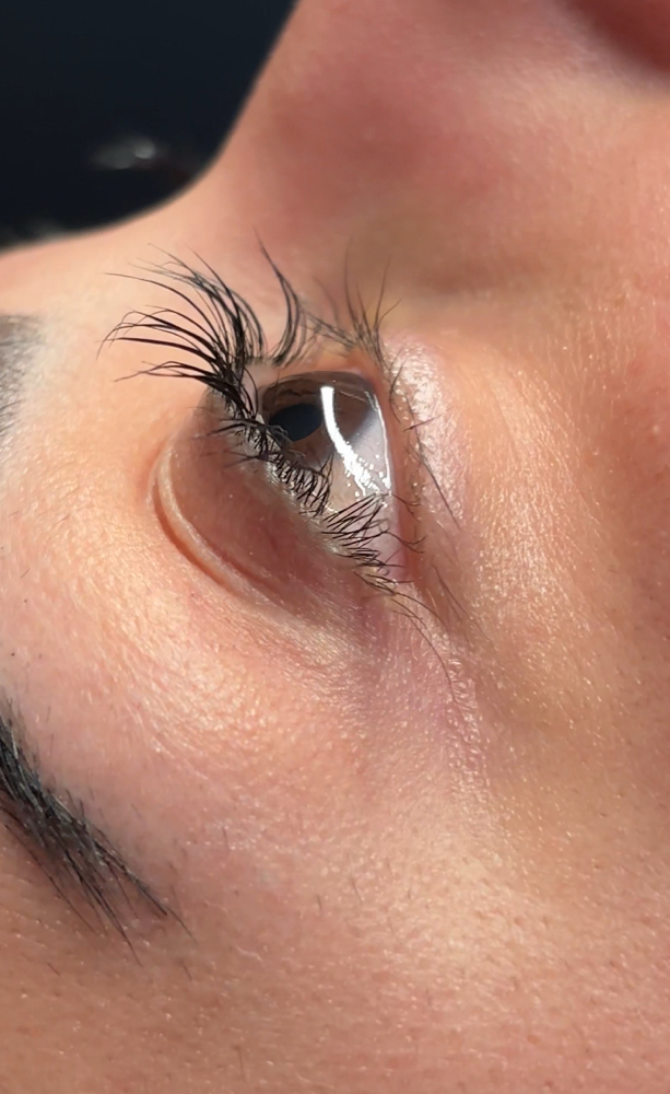 Brow Lami + Lash Lift + Tint