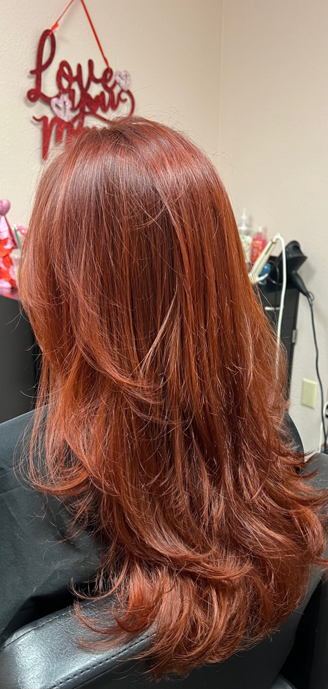 Solid Color/Toner at Raquelsbeautybar in Fresno, CA