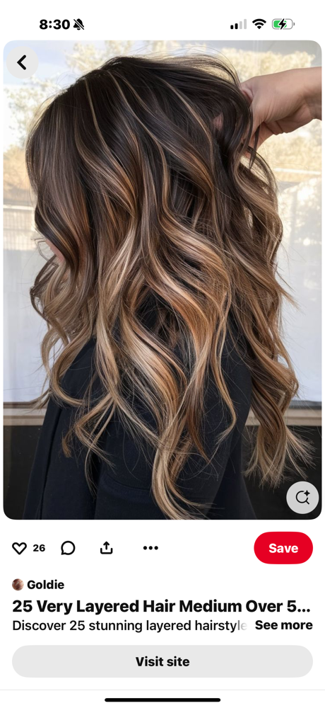 Color Correction at The Faded Mane-Maria in Chester, VA