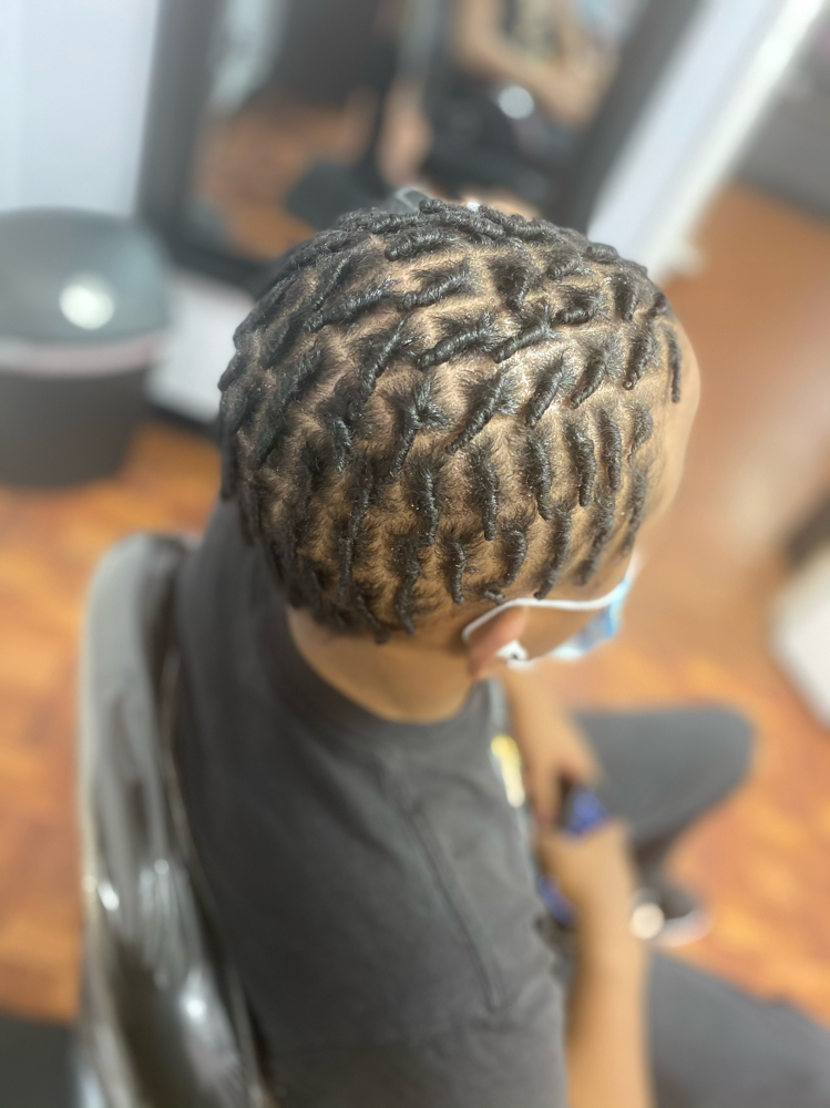 Starter Locs