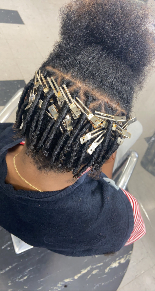 Starter Locs
