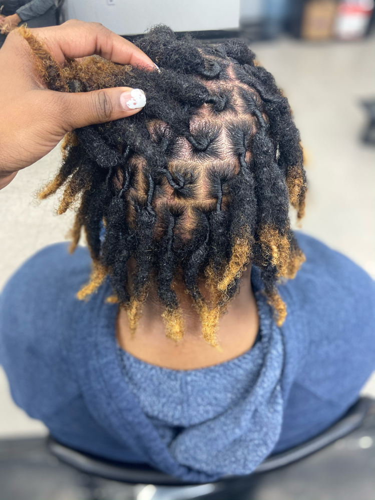 Loc Retwist