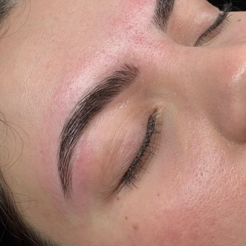 Brow Wax, Lamination, & Stain at Blume Salon in Poplar Bluff, MO