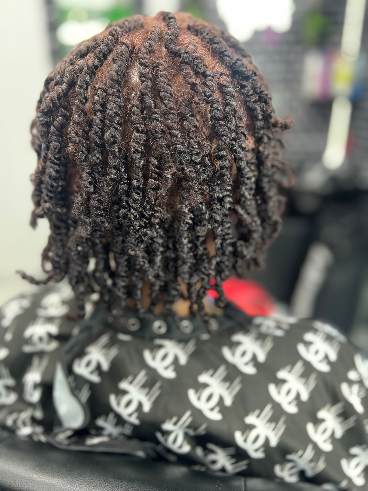 Natural Hair Twist