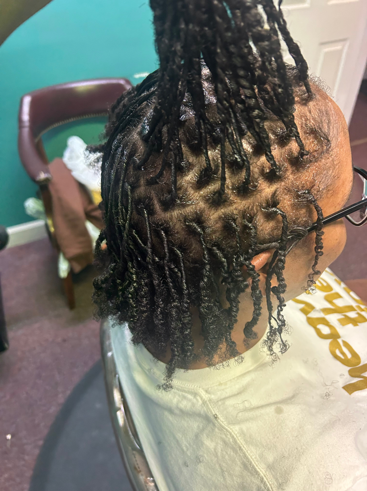 Starter Locs