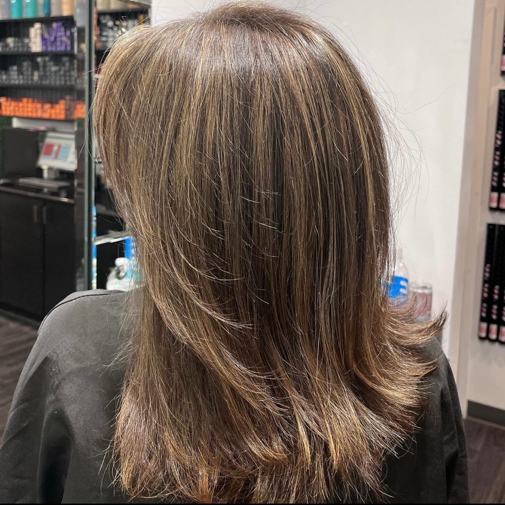 Partial Highlight & Hair Cut/ Style