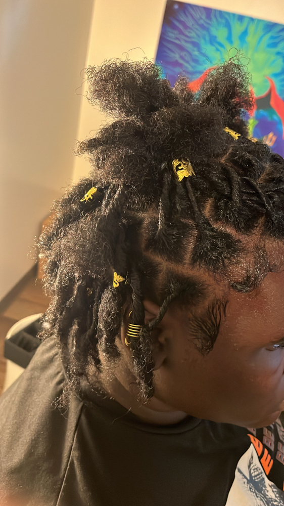 Starter Locs