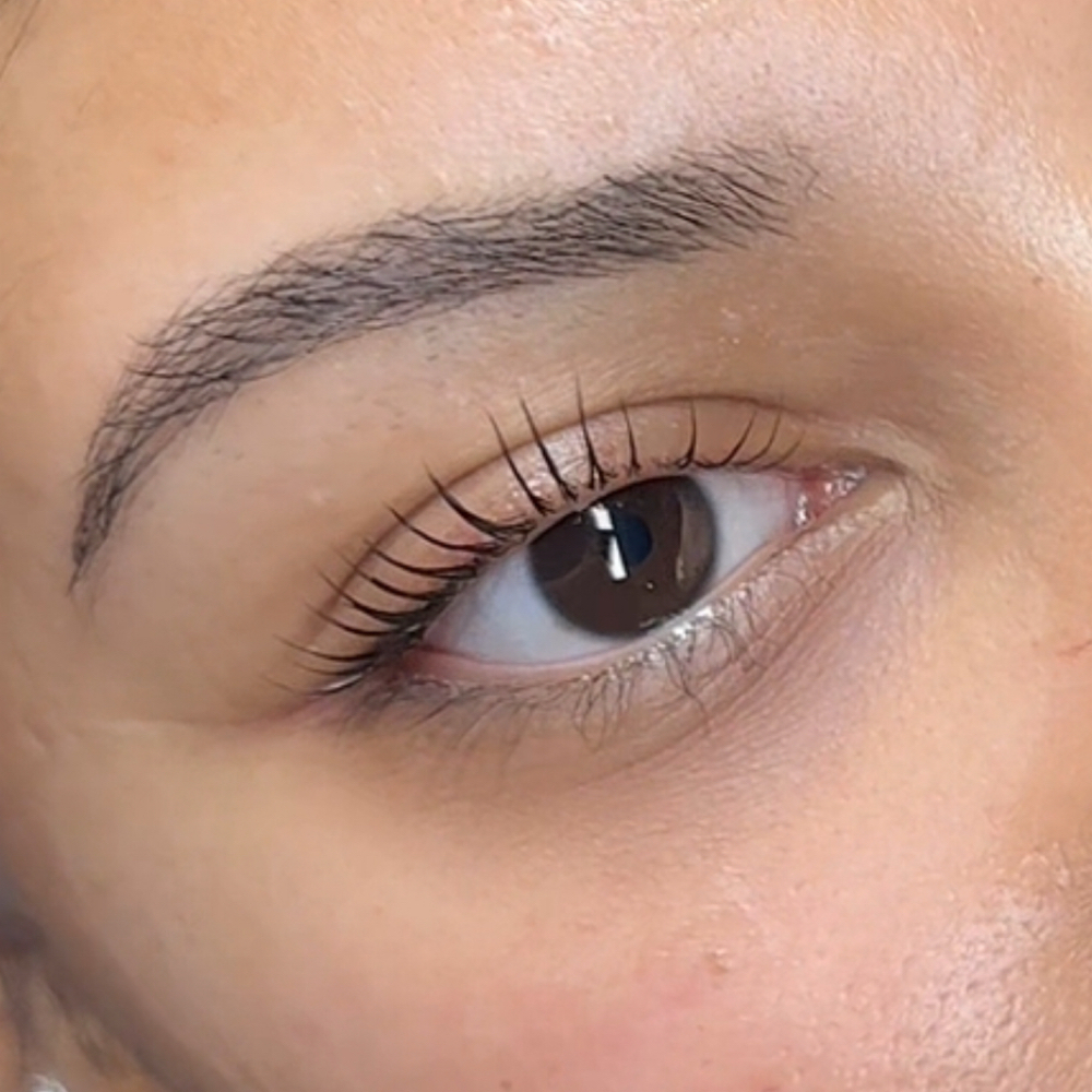 KOREAN LASH LIFT 🇰🇷 at Esmeralda  Vega in Addison, TX