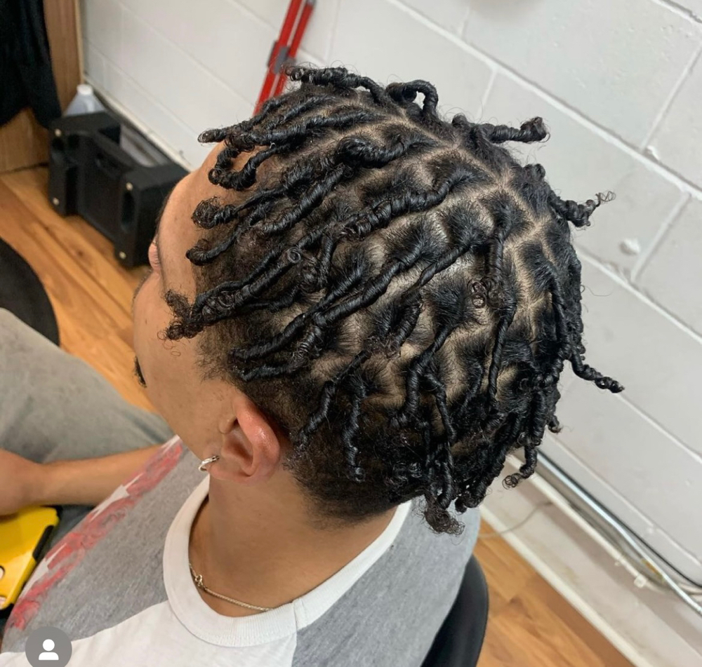 Starter Locs