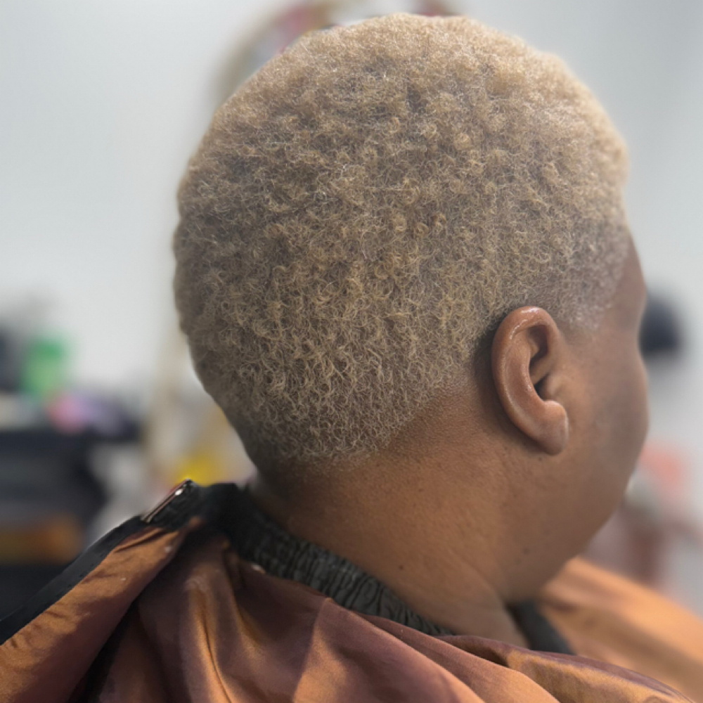 Toner at GraceHair in Memphis, TN