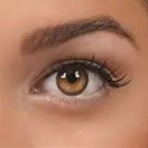 Brow tinting at EURO WAX & SPA in Hayesville, NC