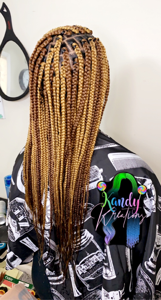 Medium Box Braids (midback)
