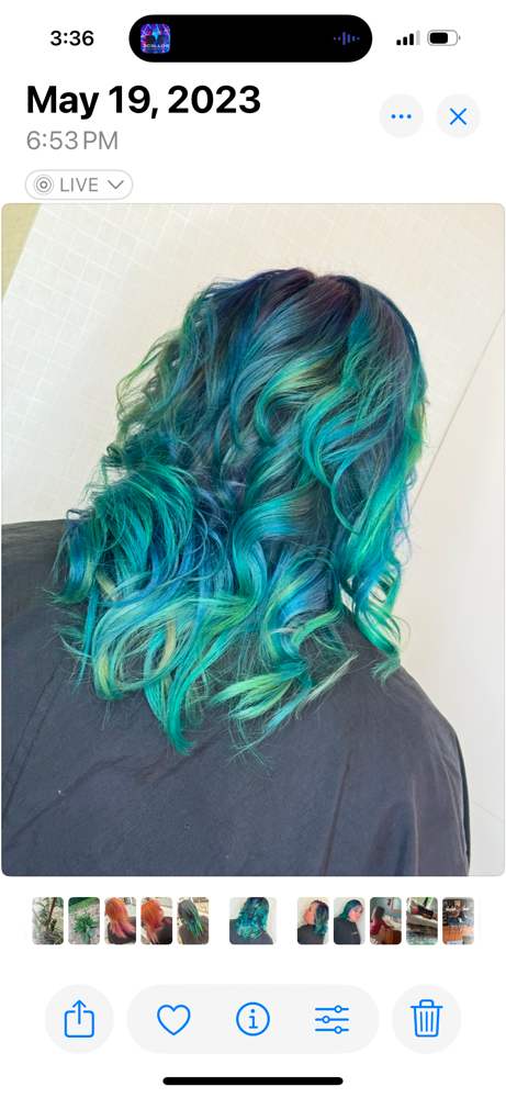 Creative Color Sesh