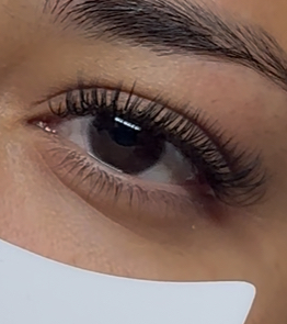 Classic at Kissed By Kim Lashes in Arleta, CA