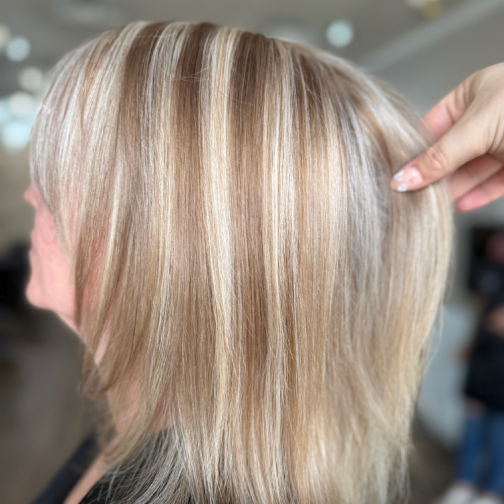 Full Highlight + Lowlight + Trim at Pani Style Hair Salon in Katy, TX