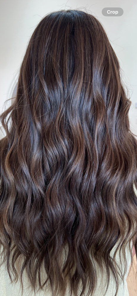 Dimensional Balayage And Haircut